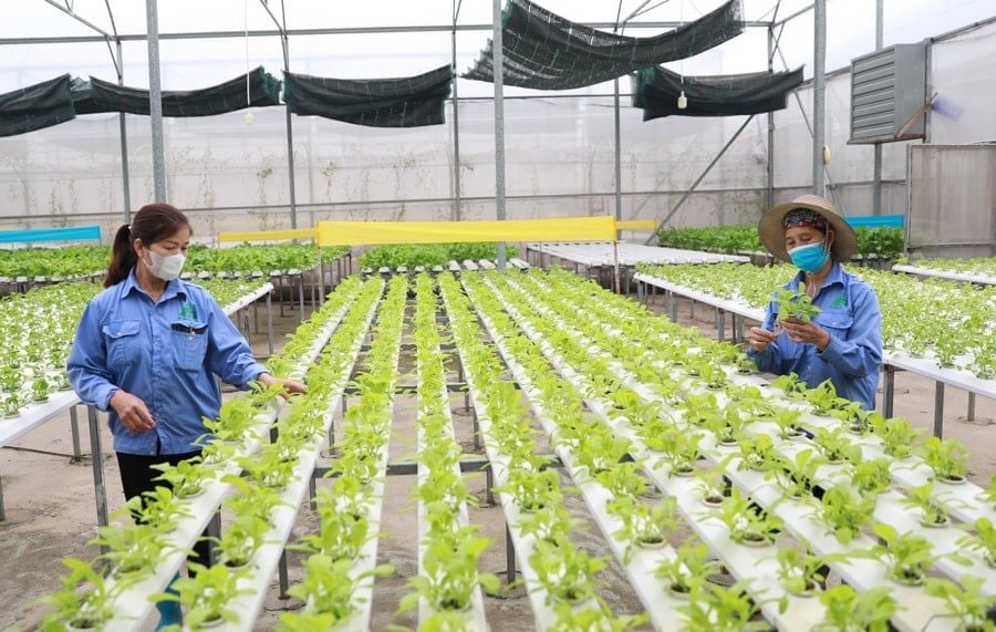 Số hóa thúc đẩy tăng trưởng nông nghiệp và môi trường