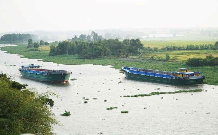 Hành trình vươn lên thành tỉnh nông nghiệp ứng dụng công nghệ cao Tây Ninh