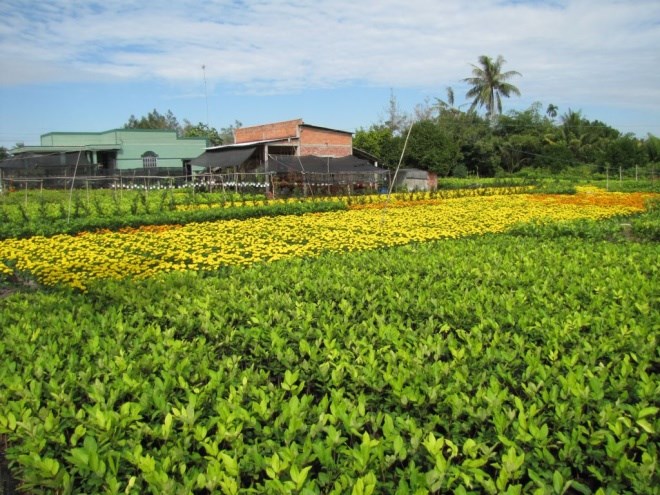 tour du lịch tự lái self drive