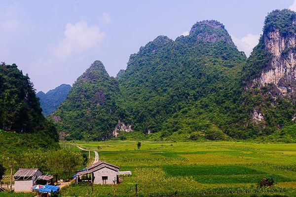 động ngườm ngao