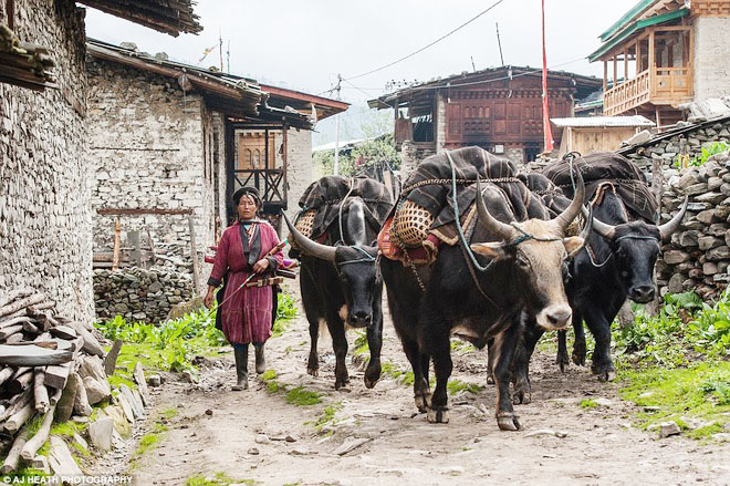 tour tây tạng viking