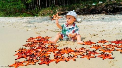 La liệt sao biển chết khô ở Rạch Vẹm - Phú Quốc: Hình ảnh khiến nhiều du khách xót xa