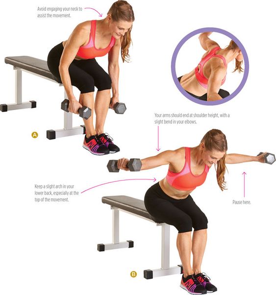 Seated Dumbbell Fly