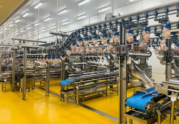 Công ty Cổ phần Chăn nuôi C.P. Việt Nam: Hướng tới mục tiêu phát triển ngành chăn nuôi bền vững