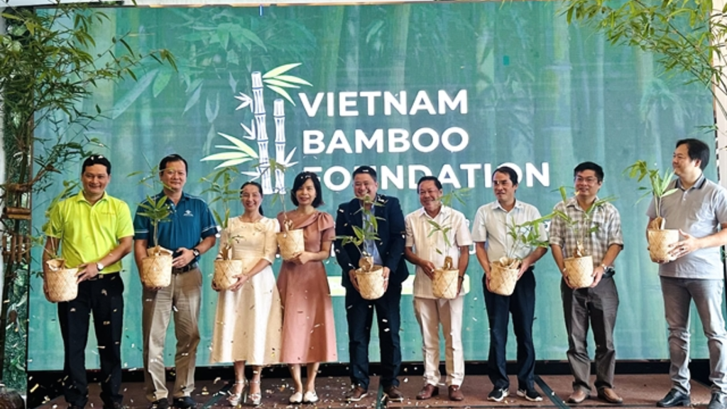 New foundation champions bamboo for sustainability, heritage preservation