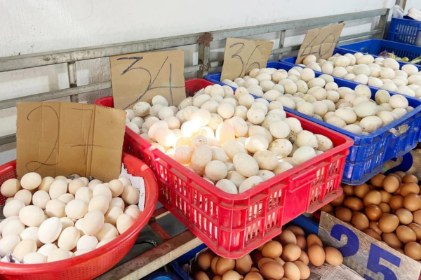 Trứng giả hay tin giả?