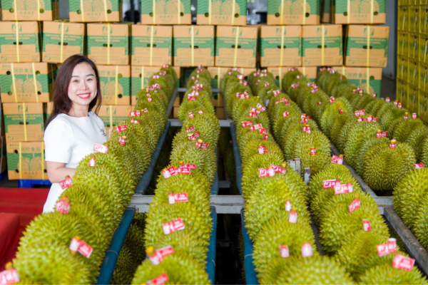 Trung Quốc phê duyệt thêm gần 1.000 vùng trồng và cơ sở đóng gói sầu riêng Việt Nam