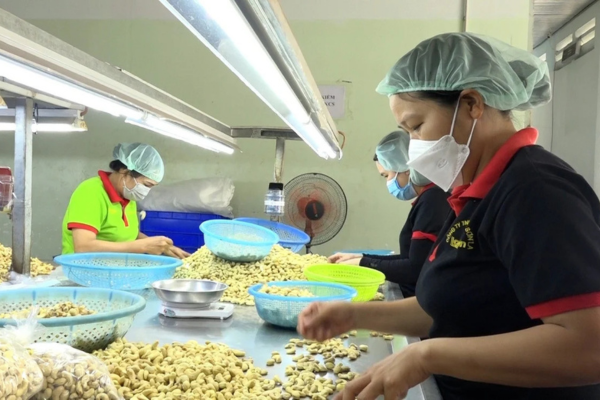 Mở rộng thị trường để doanh nghiệp Việt không bị bỏ lại phía sau