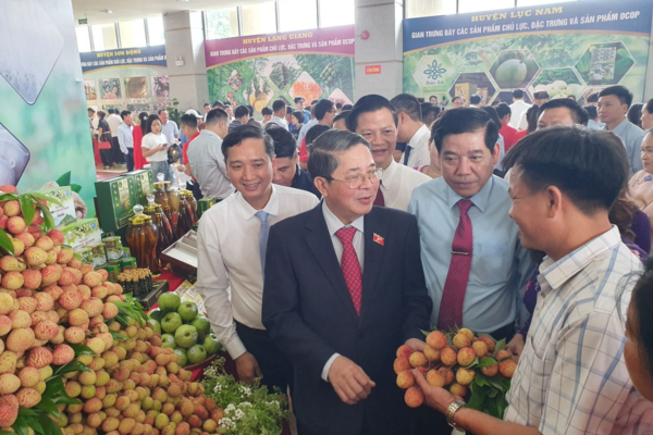 Vải thiều Bắc Giang xuất sang hơn 30 quốc gia, vùng lãnh thổ