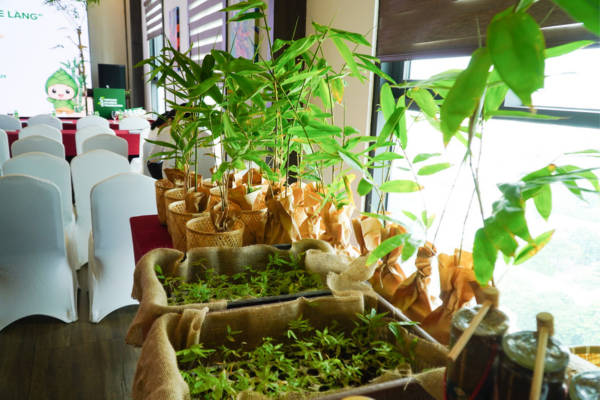 Launch of the Vietnam Bamboo Foundation: Unlocking the Potential of Bamboo for Sustainable Development