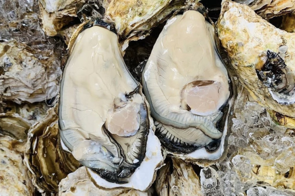 Hàu Trung Quốc giá rẻ tràn vào Việt Nam: Hệ lụy thấy rõ!