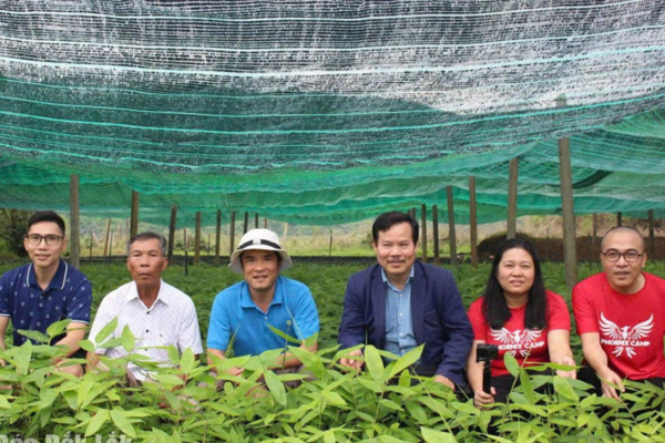 “Vũ rừng” và mơ ước về những cánh rừng tre