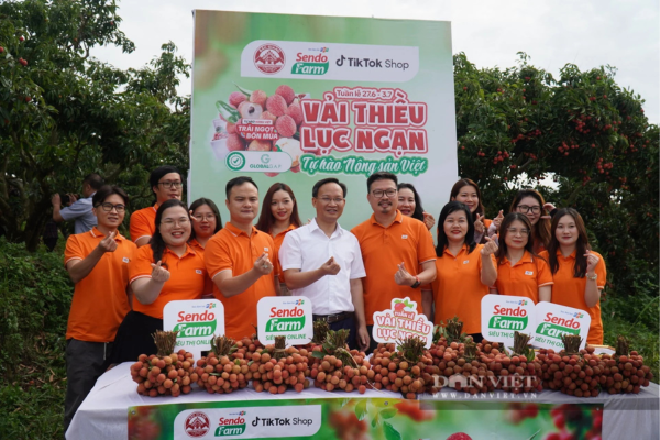 Phó Chủ tịch UBND tỉnh Bắc Giang livestream bán vải thiều, kỳ vọng nông dân không chỉ sản xuất giỏi mà còn bán hàng giỏi