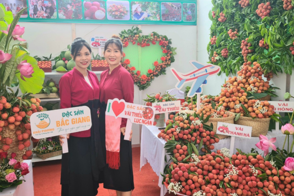 Bắc Giang chuẩn bị tốt nhất cho công tác tiêu thụ vải thiều