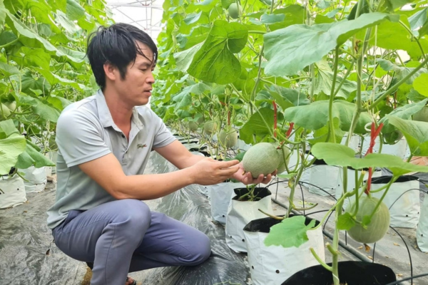 Khuyến nông Nghệ An ưu tiên các mô hình ứng dụng công nghệ cao