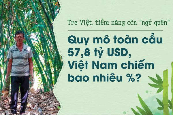 Tre Việt, tiềm năng còn 'ngủ quên': Quy mô toàn cầu 57,8 tỷ USD, Việt Nam chiếm bao nhiêu %?