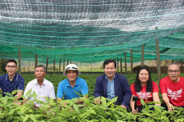 “Vũ rừng” và mơ ước về những cánh rừng tre