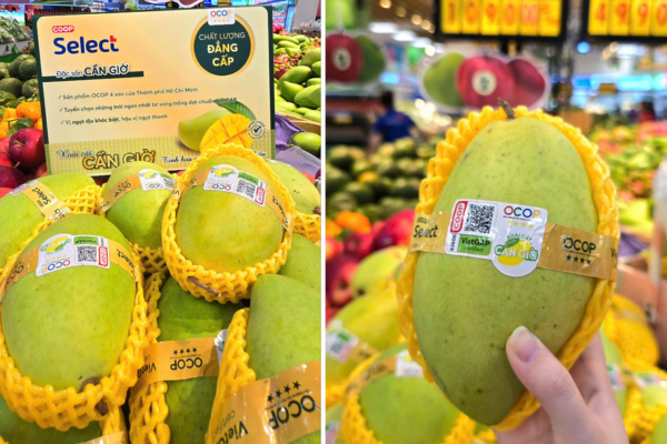 Đại tiệc siêu giảm giá đang diễn ra, đặc sản OCOP quốc gia cũng ưu đãi sốc