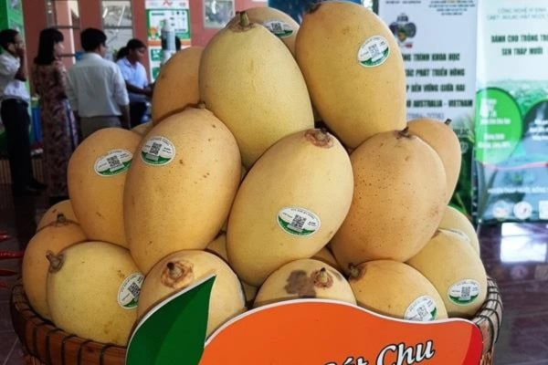 Sức bật trái cây Việt Nam - nhìn từ vựa trái cây Đồng bằng sông Cửu Long