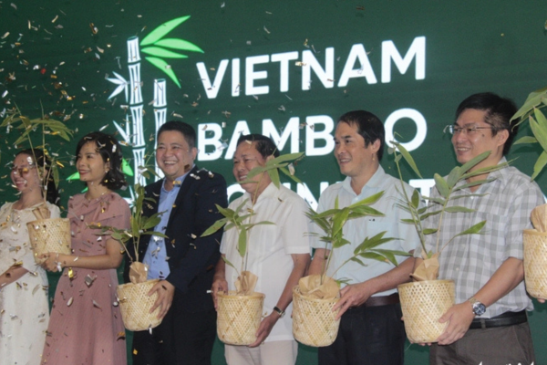 Quỹ phát triển tre Việt muốn đánh thức ngành tre