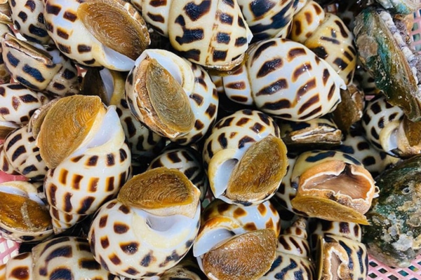 Vì sao ốc Việt Nam bỗng thành 'hàng hot' tại Trung Quốc?