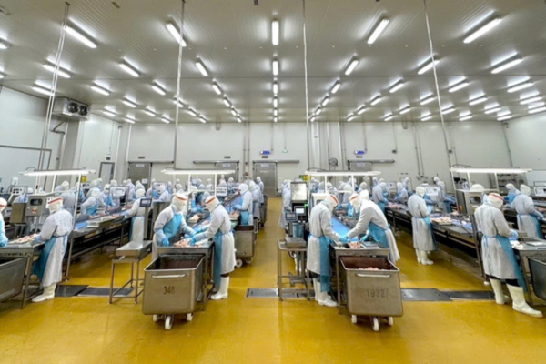 Tiến vào thị trường thực phẩm Halal 2.500 tỷ USD: Những bước chuẩn bị rất sớm của 'ông lớn' chăn nuôi tại Việt Nam