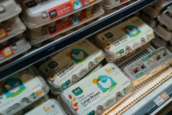 Giá trứng toàn cầu tăng vọt do cúm gia cầm ảnh hưởng đến nguồn cung