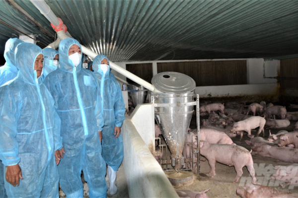 Chăn nuôi an toàn sinh học theo chuỗi khép kín 3F