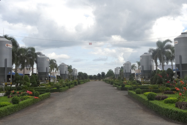 Tạo cơ sở pháp lý để giảm phát thải trong chăn nuôi