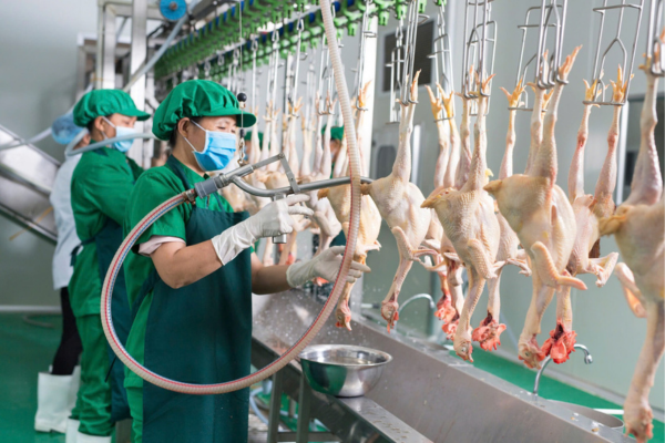 Hội Chăn nuôi Việt Nam đề xuất mức thuế VAT bằng 0% đối với sản phẩm chăn nuôi sơ chế