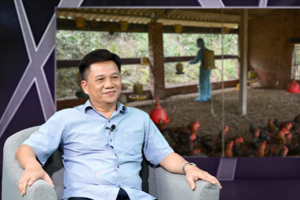 Khuyến nông đồng hành nông dân phục hồi chăn nuôi sau bão lũ