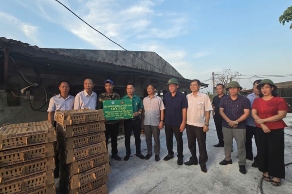 Ngành chăn nuôi sẽ sớm ổn định và phục hồi sau bão số 3