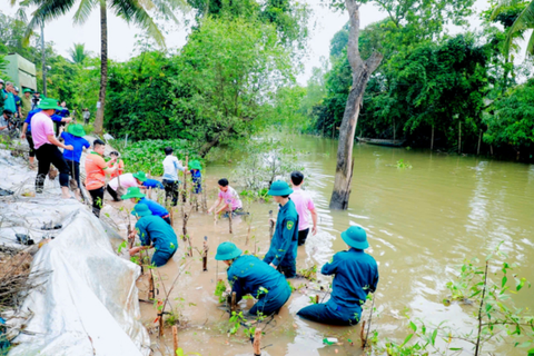 C.P. Việt Nam cùng tỉnh Đồng Tháp xây dựng công trình kè xanh giữ đất