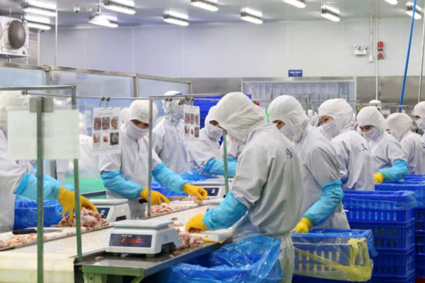 Đồng Nai phát triển ngành chăn nuôi hiện đại