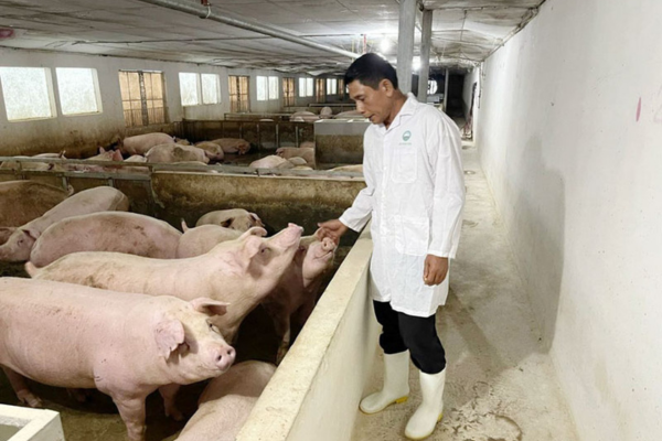 Đổi mới thực hiện thủ tục hành chính lĩnh vực chăn nuôi