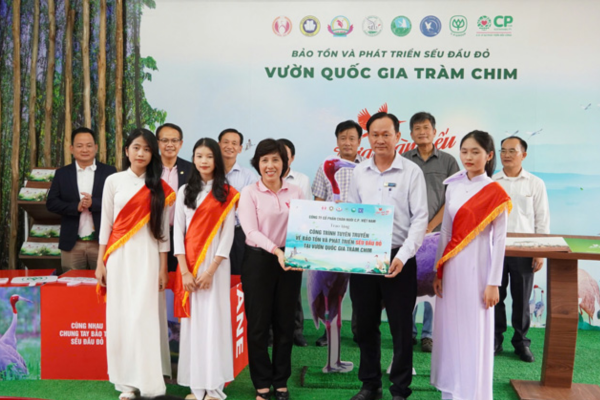 “Mối duyên lành” hợp tác đưa Sếu đầu đỏ bảo tồn tại Việt Nam