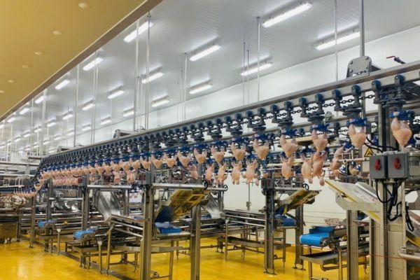 Vietnam Report vinh danh công ty uy tín hàng đầu ngành nông nghiệp công nghệ cao năm 2024