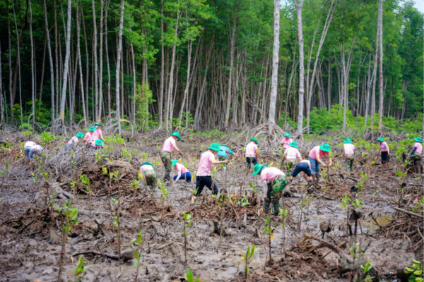 C.P. Việt Nam trồng và chăm sóc 10 ha rừng ngập mặn tại Đồng Nai