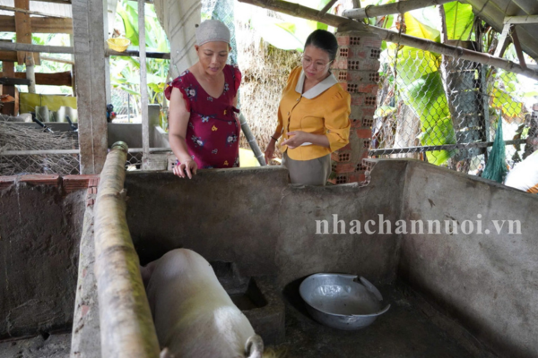 “Ngân hàng heo giống” mang lại hiệu quả cho nông dân nghèo