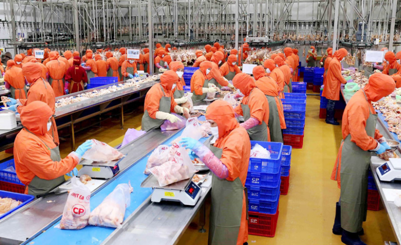 Kiểm soát cơ sở giết mổ thịt, bảo đảm thực phẩm an toàn