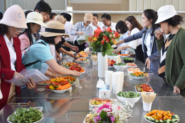 Làm ít hơn để hiểu nhiều hơn - Xây dựng chuỗi giá trị toàn cầu ở vùng nông thôn mới