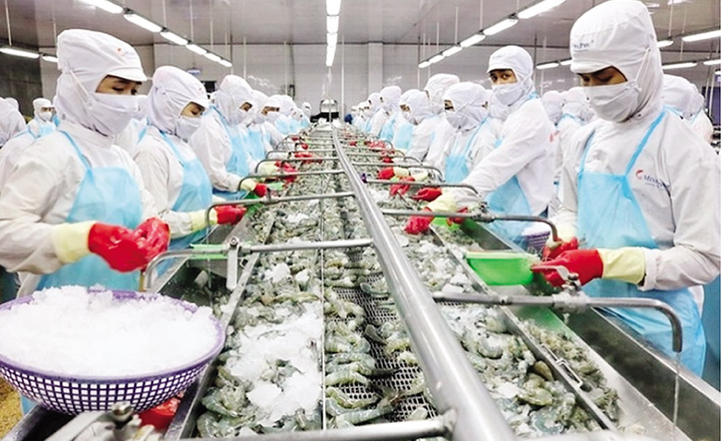 Fimex táo bạo đầu tư tự chủ nguồn tôm