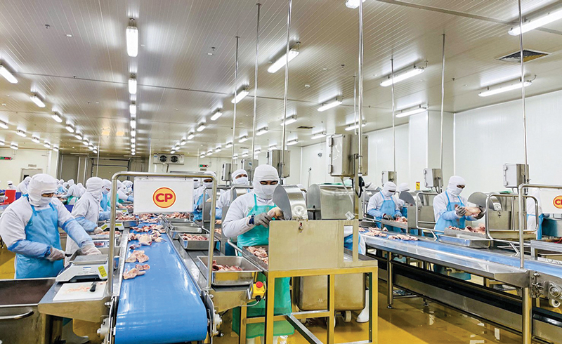 C.P.Việt Nam: Linh hoạt vừa chống dịch, vừa sản xuất