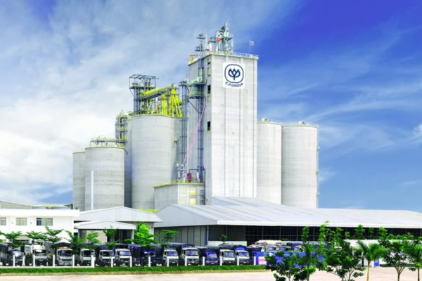 C.P. Việt Nam - 