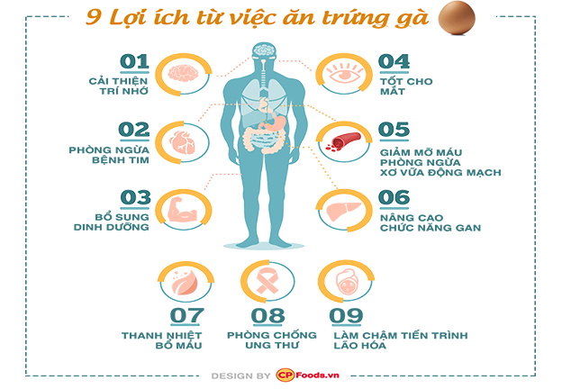 QUÊN ĂN TRỨNG GÀ - THẬT LÀ THIẾU SÓT