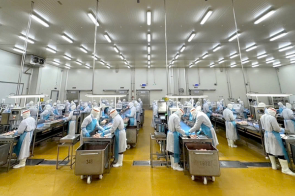 Tiến vào thị trường thực phẩm Halal 2.500 tỷ USD: Những bước chuẩn bị rất sớm của 'ông lớn' chăn nuôi tại Việt Nam