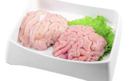 Thực hư việc ăn nhiều óc heo giúp bổ não?