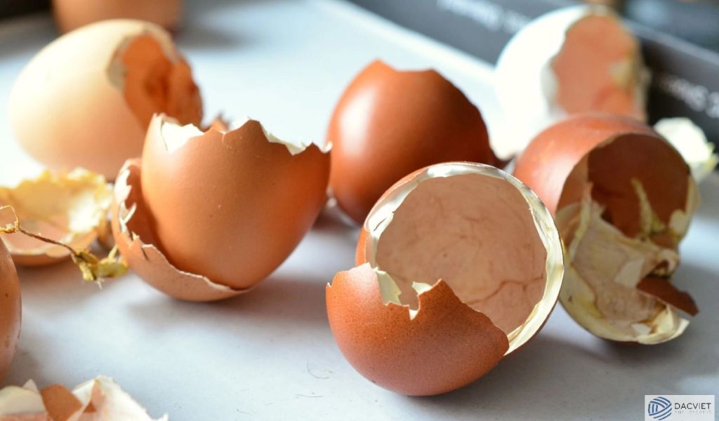 Những công dụng ít người biết đến của vỏ trứng gà