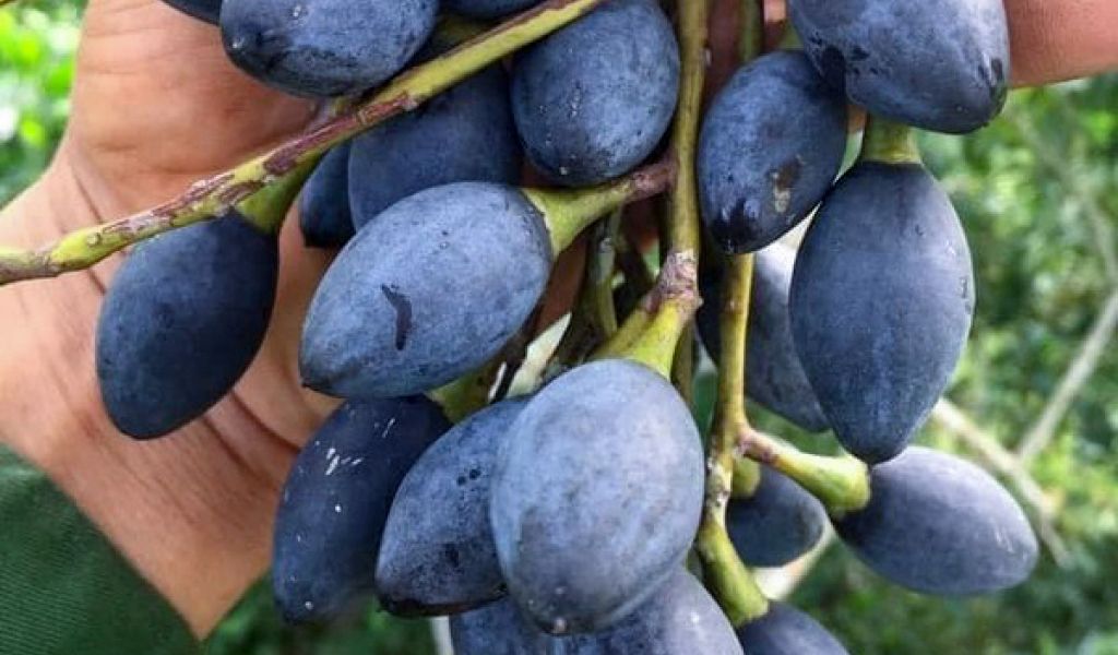 Những món đặc sản Bắc Kạn lạ mắt, tên nghe lạ tai nhưng lại khiến giới sành ẩm thực mê mẩn