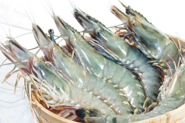 Tôm: Thành phần dinh dưỡng & Lợi ích đối với sức khỏe